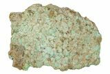 Polished Turquoise Slab - Number Mine, Carlin, NV #244462-1